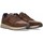 Schoenen Heren Sneakers Xti 70462 Bruin