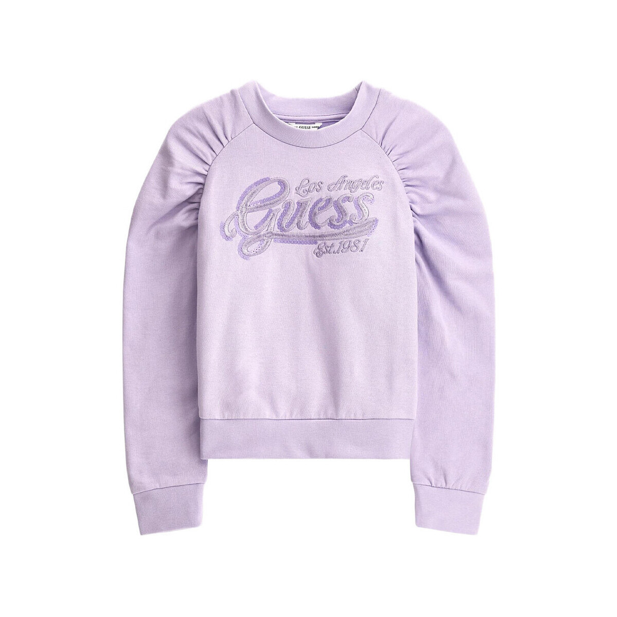 Textiel Meisjes Sweaters / Sweatshirts Guess  Violet