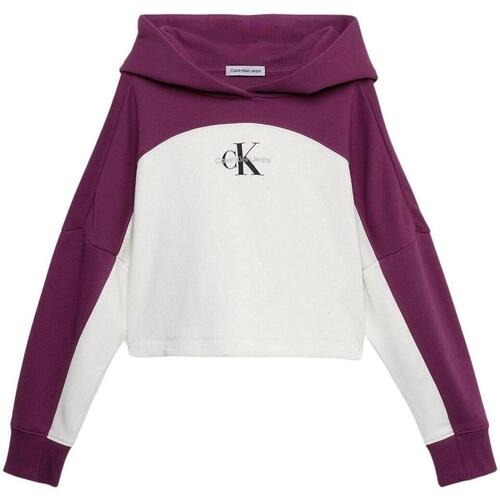 Textiel Meisjes Sweaters / Sweatshirts Calvin Klein Jeans  Wit