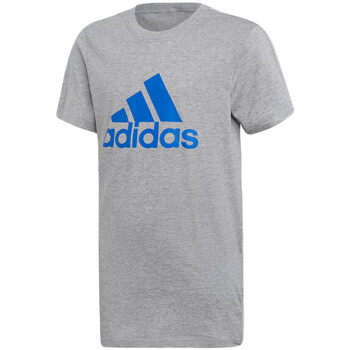 Textiel Jongens T-shirts korte mouwen adidas Originals  Grijs