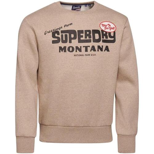 Textiel Heren Sweaters / Sweatshirts Superdry  Beige