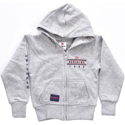 Textiel Kinderen Sweaters / Sweatshirts Redskins R231031 Grijs