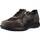 Schoenen Dames Sneakers Pinoso's 8218G Bruin