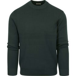 Textiel Heren Sweaters / Sweatshirts Dstrezzed Pullover Fell Donkergroen Groen