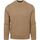 Textiel Heren Sweaters / Sweatshirts Dstrezzed Pullover Fell Beige Beige
