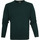 Textiel Heren Sweaters / Sweatshirts William Lockie Lambswool Groen Groen