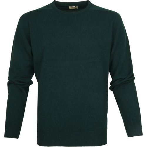 Textiel Heren Sweaters / Sweatshirts William Lockie Lambswool Groen Groen