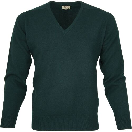 Textiel Heren Sweaters / Sweatshirts William Lockie V Bottle Groen