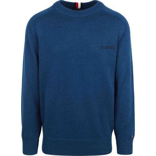 Textiel Heren Sweaters / Sweatshirts Tommy Hilfiger Big & Tall Pullover Blauw Blauw