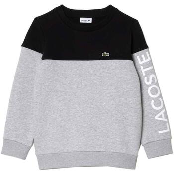 Textiel Jongens Sweaters / Sweatshirts Lacoste  Grijs