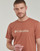 Textiel Heren T-shirts korte mouwen Columbia CSC Basic Logo Tee Bruin