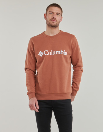 Textiel Heren Sweaters / Sweatshirts Columbia CSC Basic Logo II Hoodie Bruin