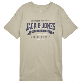 Textiel Jongens T-shirts korte mouwen Jack & Jones JJELOGO TEE SS NECK 2 COL 23/24 NOOS JNR Beige