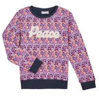 Textiel Meisjes Sweaters / Sweatshirts Name it NKFTINIBA LS SWE BRU PS Multicolour