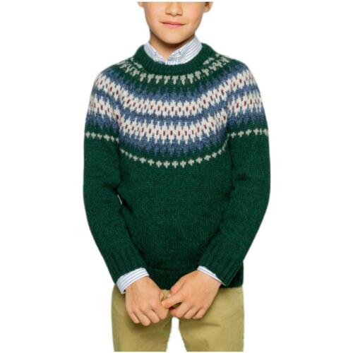Textiel Jongens Sweaters / Sweatshirts Scotta  Groen