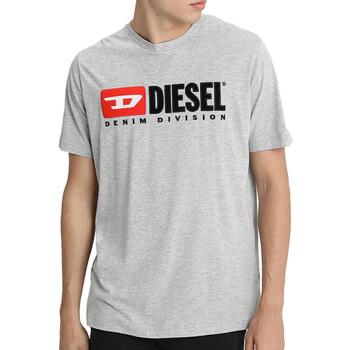 Textiel Heren T-shirts & Polo’s Diesel  Grijs