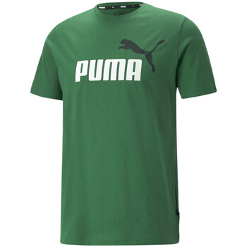 Textiel Heren T-shirts & Polo’s Puma  Groen