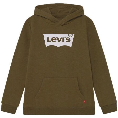Textiel Kinderen Sweaters / Sweatshirts Levi's  Groen