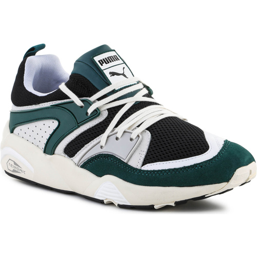Schoenen Heren Lage sneakers Puma Blaze Of Glory PRM  Black / Varsity Green 387575-02 Multicolour