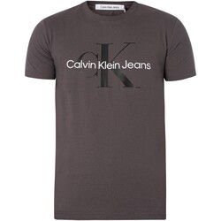 Textiel Heren T-shirts korte mouwen Calvin Klein Jeans Seizoensgebonden T-shirt met monologo Grijs