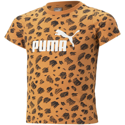 Textiel Meisjes T-shirts & Polo’s Puma  Oranje