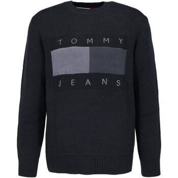 Textiel Heren Truien Tommy Jeans DM0DM17773 Zwart