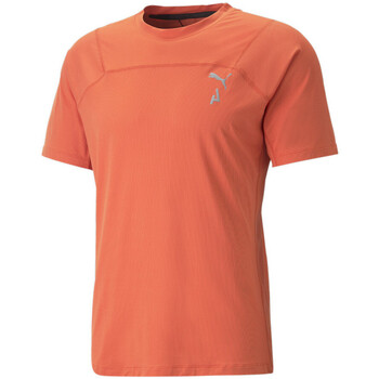 Textiel Heren T-shirts & Polo’s Puma  Oranje