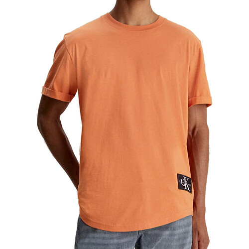 Textiel Heren T-shirts korte mouwen Calvin Klein Jeans  Oranje