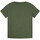 Textiel Jongens T-shirts & Polo’s Calvin Klein Jeans  Groen
