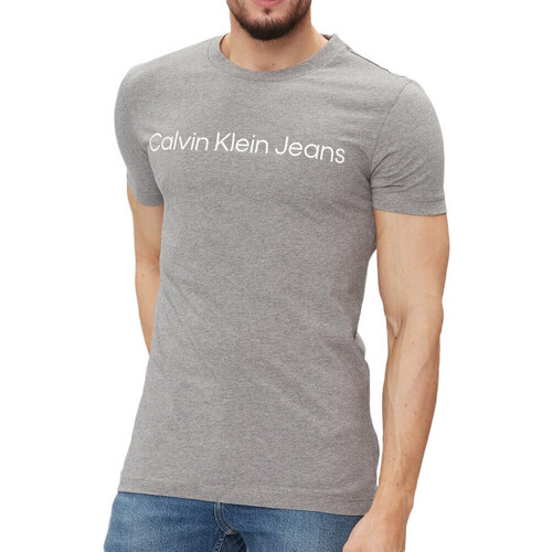 Textiel Heren T-shirts korte mouwen Calvin Klein Jeans  Grijs