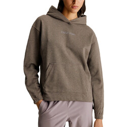 Textiel Dames Sweaters / Sweatshirts Calvin Klein Jeans  Bruin