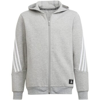 Textiel Jongens Sweaters / Sweatshirts Adidas Sportswear  Grijs