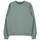 Textiel Heren Sweaters / Sweatshirts Scout  Groen
