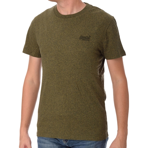 Textiel Heren T-shirts korte mouwen Superdry 235246 Groen