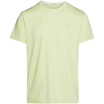 Textiel Heren T-shirts korte mouwen Calvin Klein Jeans  Groen