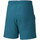 Textiel Heren Korte broeken / Bermuda's Mizuno  Blauw