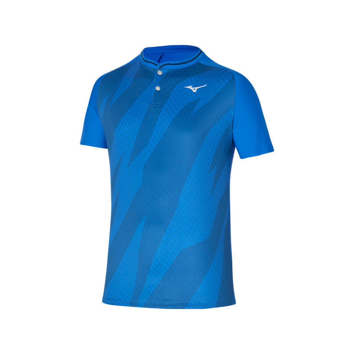 Textiel Heren T-shirts & Polo’s Mizuno  Blauw
