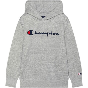Textiel Kinderen Sweaters / Sweatshirts Champion  Grijs