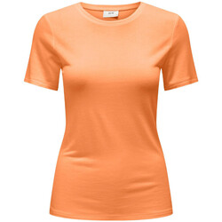 Textiel Dames T-shirts & Polo’s JDY  Oranje