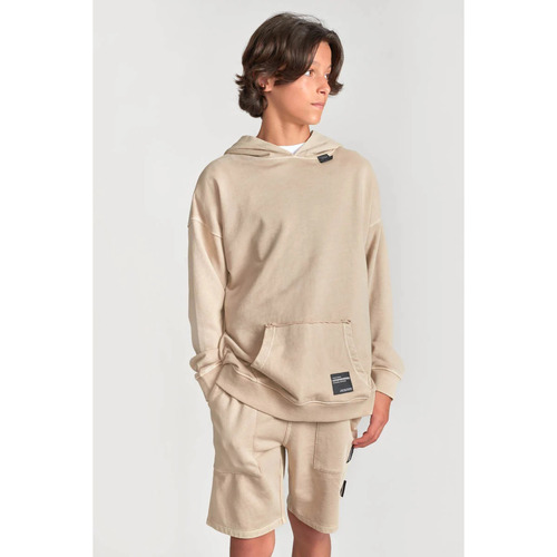 Textiel Jongens Sweaters / Sweatshirts Le Temps des Cerises Sweater met capuchon ANIBO Bruin