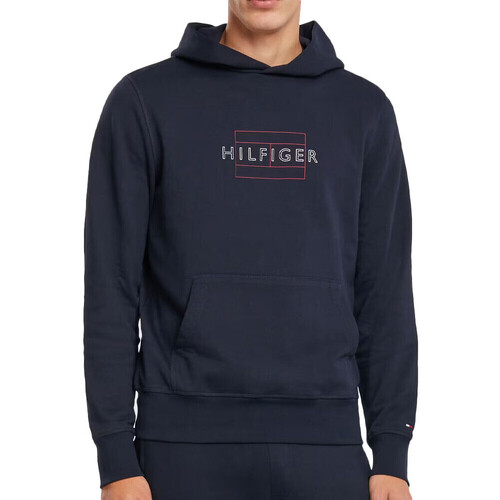 Textiel Heren Sweaters / Sweatshirts Tommy Hilfiger  Zwart