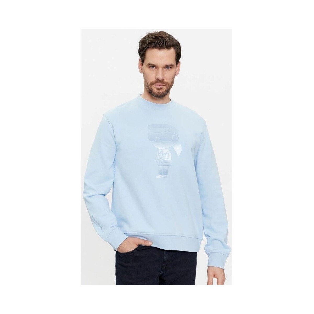 Textiel Heren Sweaters / Sweatshirts Karl Lagerfeld 541900 705400 Blauw