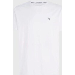 Textiel Heren T-shirts korte mouwen Calvin Klein Jeans J30J325268 Wit