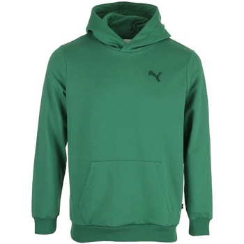 Textiel Heren Sweaters / Sweatshirts Puma Made In France Hoodie Groen