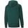 Textiel Heren Sweaters / Sweatshirts Puma  Groen