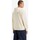 Textiel Heren Sweaters / Sweatshirts Levi's 38479 0304 RELAXED GRAPHIC Beige