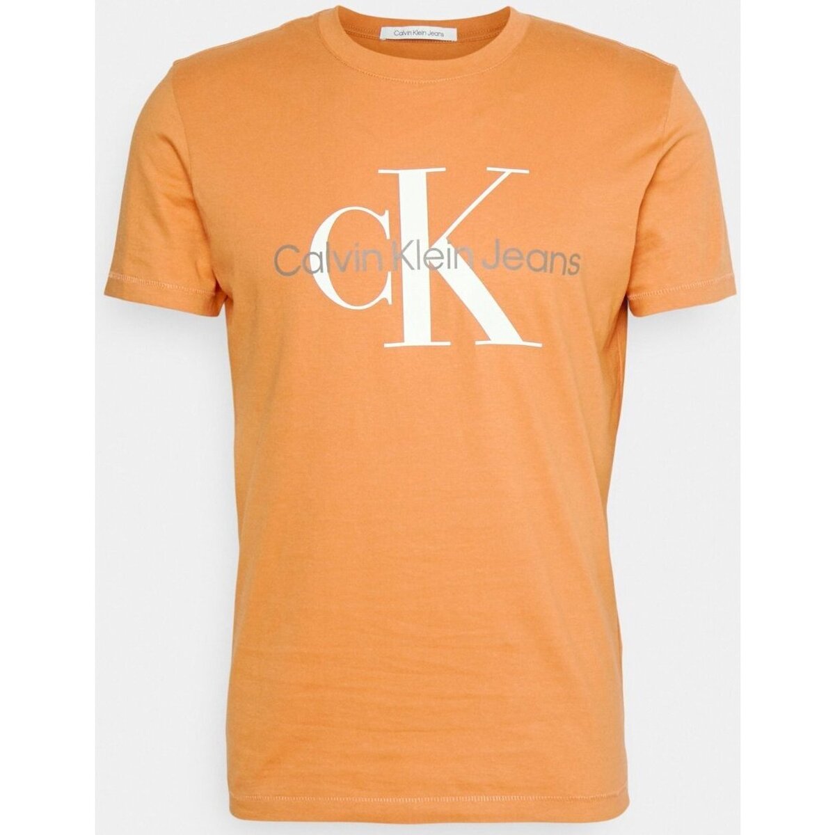Textiel Heren T-shirts korte mouwen Calvin Klein Jeans J30J320806 Oranje