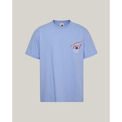 Textiel Heren T-shirts korte mouwen Tommy Hilfiger DM0DM18574C3S Blauw