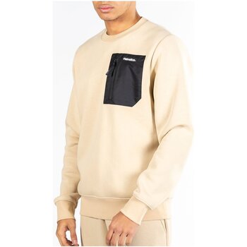 Textiel Heren Sweaters / Sweatshirts Helvetica LYST Beige