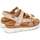 Schoenen Dames Sandalen / Open schoenen Pikolinos PALMA W4N-0968CLC1 SANDAAL Beige